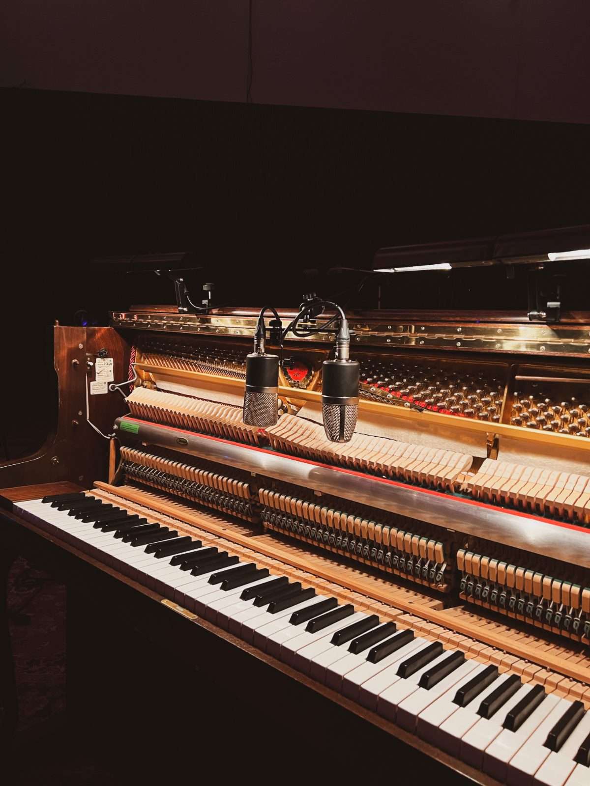 Studio